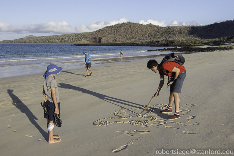 galapagos